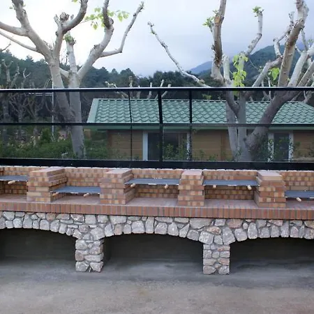 Bassegoda Park 5* Albanya
